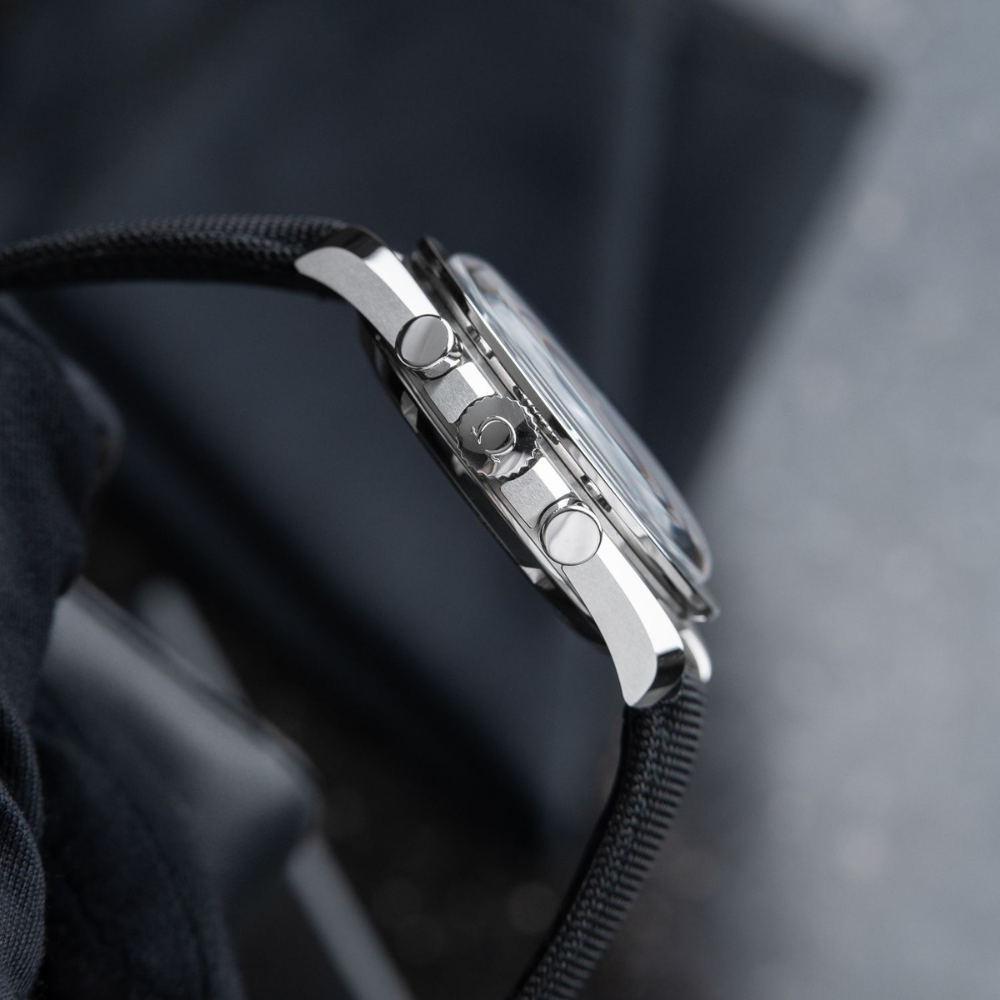 Professional Moonwatch 42mm